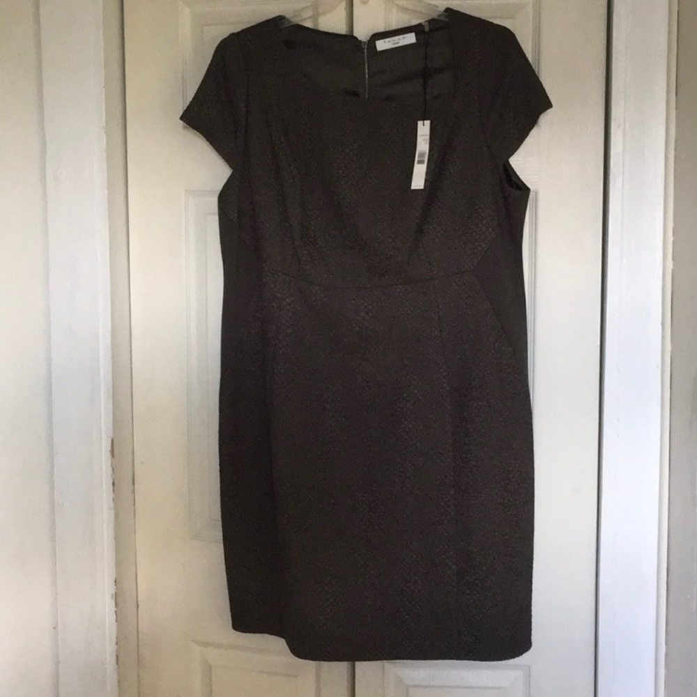 Classic Dress for day at work into evening!